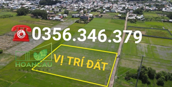 8000m2 đất mặt tiền đường chính nối cổng sân bay Long Thành