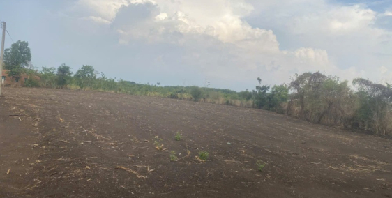 Cần tiền ra nhanh miếng đất ở xã Lộc Hiệp, Huyện Lộc Ninh, Tỉnh Bình Phước