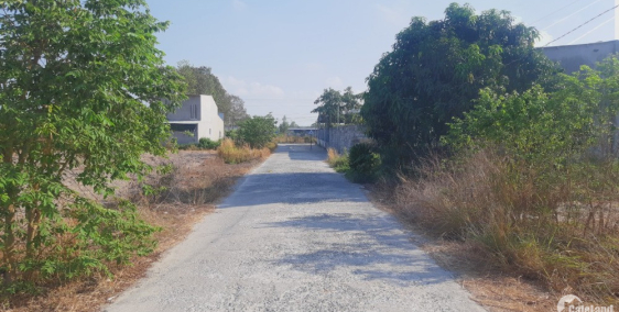 Bán đất thổ cư Tóc Tiên đường ô tô tránh nhau 5mx30m giá 1,25 tỷ Lh 0385230667