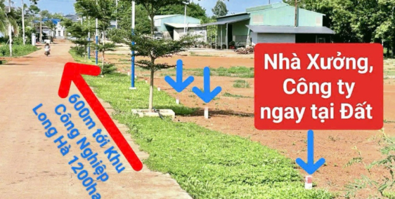 Tôi cần bán đất nền 200m2 thổ cư 100m2 chỉ hơn 400 triệu Sổ Hồng Riêng có sẵn