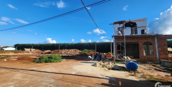 Hàng Cực HIẾM Đất Mặt Tiền Đường 8 mét Gía Dưới 700 Triệu