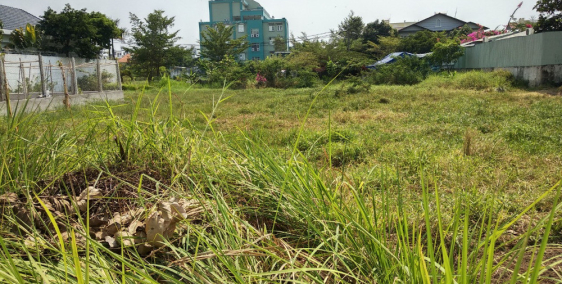 Chính chủ bán nền biệt thự đẹp KDC Cotec DT 300m2 giá 7,5 tỷ.PL đầy đủ