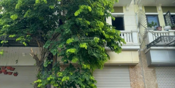 Chính chủ cho thuê nhà liền kề 4 tầng 280m2 tại khu ĐTM Phú Lương, Hà Đông, HN