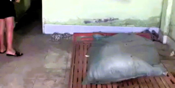 Bán nhà cấp 4 101m2 2pn hẻm 5m đường số 5 Linh Xuân