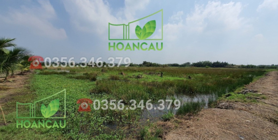 Ngộp. Giảm hơn nửa giá. 3600m2 đất vườn, ngay tuyến cầu Cát Lái tại Nhơn Trạch