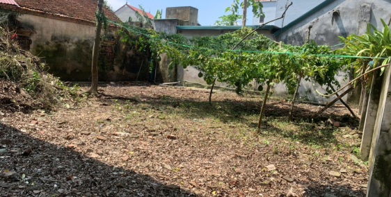 Chính chủ cần bán đất thổ cư sổ đỏ  tại Thôn An Khoái-Dân Hoà-Thanh Oai-Hà Nội