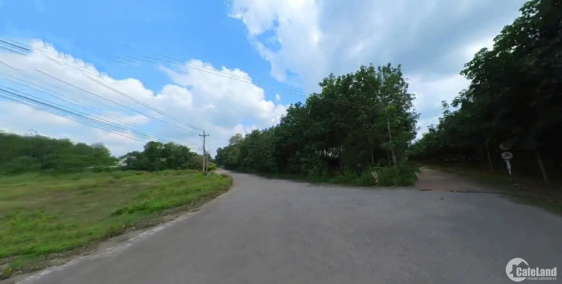 chủ ngộp cần bán đất vườn 1000m2 giá 180tr tại Đồng Phú