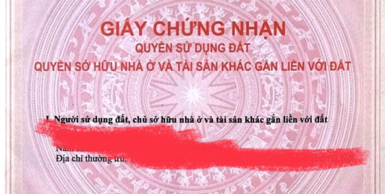 Chính chủ bán đất 100m2 - N19 KDC Biconsi