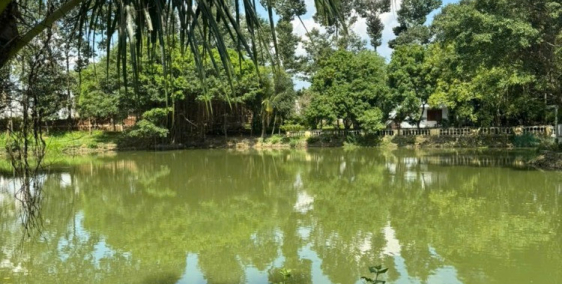 Bán 2,2 ha đất TMDV ngay Tân Cảng, Phước Tân, Biên Hòa, Đồng Nai diện tích 22000