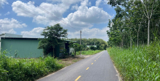 Đất Long Nguyên 20x50m cắt lỗ 1tỷ5 bao sang tên, đường nhựa