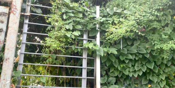 Đất thổ cư gần Gigamall Phạm Văn Đồng, 68m, đường số 48, hiệp bình chánh, thủ đứ