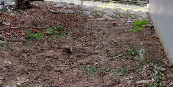 Bán đất dt 5x19m, 92m2 thổ cư, Thị trấn Hóc Môn. 4ty700 TL