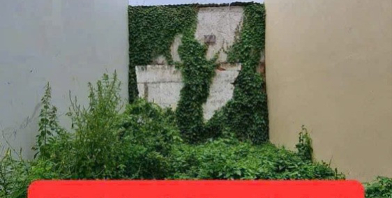 Bán nền thổ cư nhánh hẻm 195 đường 3/2 phường Hưng Lợi quận Ninh Kiều, TPCT thôn