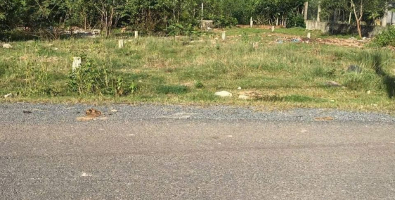 Bán gấp lấy  tiền trả nợ  đất  Thổ Vườn 251m2 , Thổ 143m2, Xã Tân Phú Trung