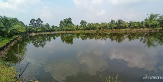 Bán đất tại Xã Sông Trầu, Trảng Bom, Đồng Nai diện tích 14000m2 giá 14 Tỷ