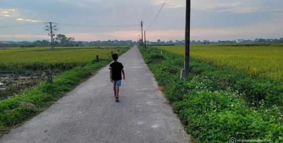 Bán đất ruộng tại đại thắng, vụ bản, nam định