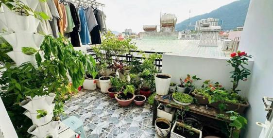 ANH EN CẦN RA GẤP CĂN NHÀ VỀ QUÊ ĂN TẾT CUỐI NĂM!!!!!