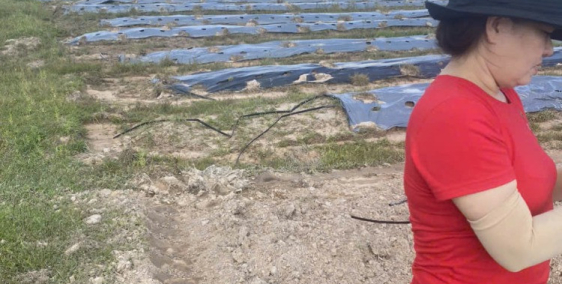 Bán 1,6ha Đất Tại Xuân Thành, Xuân Lộc - Vị Trí Đẹp Đường Lớn