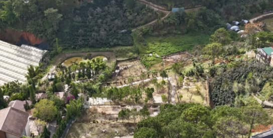 Cho thuê đất mặt tiền Khe Sanh Đà Lạt view rừng thông 9000m2