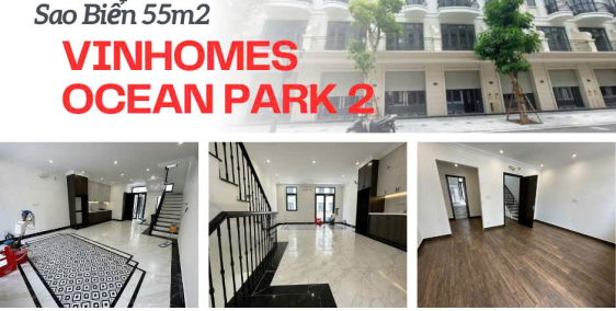 Siêu phẩm Shophouse Sao Biển giá cắt lỗ RẺ nhất Vinhomes Ocean Park 2