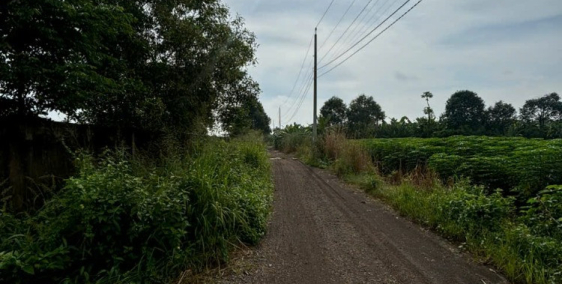 Bán Gấp 1 Sào Đất Tại Hưng Thịnh - Gần Đường 20