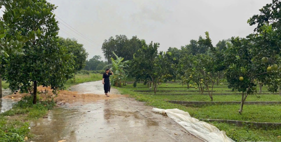 Khu dân cư Bảo Hiệu mở bán 11 lô liền kề, có 2 lô giá F0 giá hạt dẻ chỉ từ 2xxtr