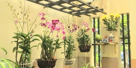 Bán biệt thự Himlam Trường Thọ 100m², 4 tầng, chỉ 12tyxx