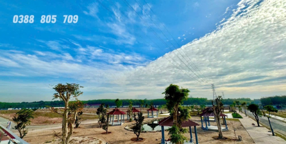 Alana City BD: Đầu Tư Lợi Nhuận Cao Ngày Mặt Tiền Cao Tốc HCM – TD1 – Chơn thành