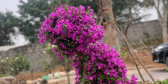 BÁN KHUÂN VIÊN SẴN CHỈ  VÀO VIỆC Ở TẠI CAO DƯƠNG, LƯƠNG SƠN , HB GIÁ RẺ