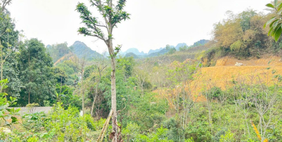 BÁN KHUÂN VIÊN ĐẦY ĐỦ TIỆN ÍCH CHỈ VIỆC Ở TẠI CAO DƯƠNG, LƯƠNG SƠN, HÓA BÌNH RẺ