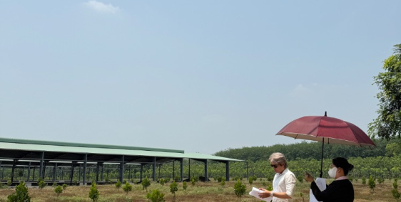 Bán Đất 250m² Phú Giáo – Sẵn 100m² Thổ Cư, Đường 8m