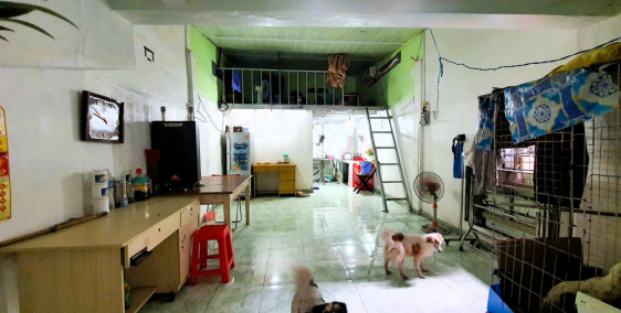 chung cư Cư Xá Điện Lực, Trường Thọ 32m2 có gác, thuê rẻ chỉ 4tr/tháng