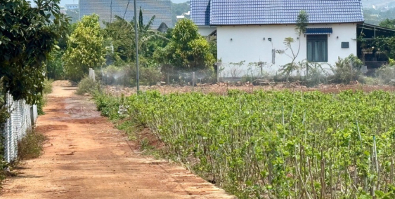 Bán gấp 325m2 đất Gia Lâm, chỉ 890 triệu, cách đường nhựa 100m