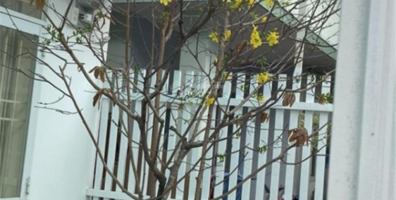 Bán Nhà Mới Xây 2 Mặt Tiền Hẻm, Thiết Kế Hiện Đại, Nha Trang - Giá 3.55 Tỷ