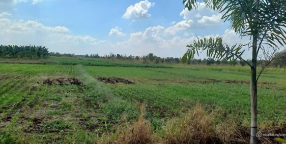 Bán đất tại Xã Xuân Bảo, Cẩm Mỹ, Đồng Nai, diện tích 8600m2 giá 600 Triệu/sào