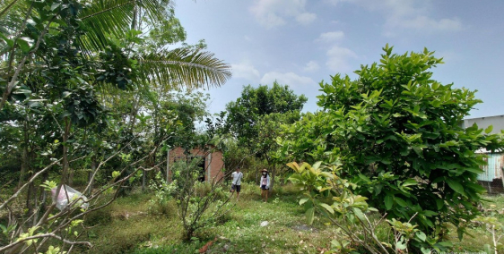 1700m2 đất vuông vức mặt tiền 8m gần đườn Trung lập, có 300m2 thổ cư