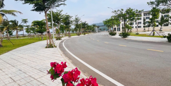 Central Avenue Quy Nhơn cửa ngõ giao thương