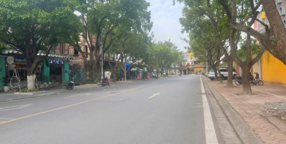 Bán biệt thự BT8 mặt phố Bùi Thiện Ngộ, 228m2 vip nhất khu đô thị Việt Hưng