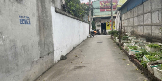 Bán 113m đất 2 mặt đường trước sau tại Xuân Đỗ, oto nhỏ vào nhà, có thể tách làm