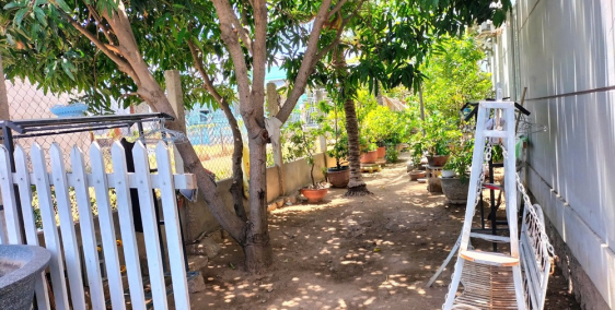 Bán nhà cấp 4 sân vườn mát mẻ tại Khánh Hội, Tri Hải, Ninh Hải.