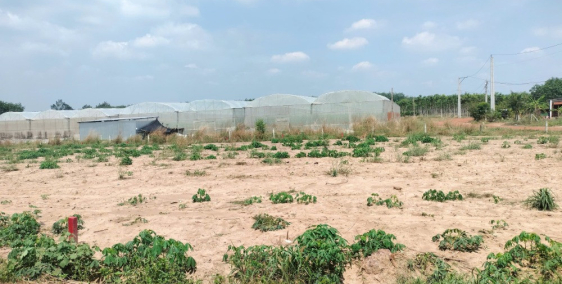 Bán gấp 2 lô liền kề trung tâm An Thái, đân đông, sổ sẵn, gần chợ giá 300tr/lô