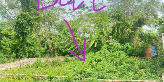 Bán gấp mảnh đất lô góc tại Quế Sơn- Tân Ước-Thanh Oai 40m2- 2 tỷ 030tr