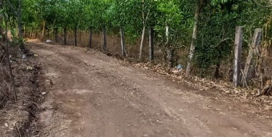 Đất sào giá rẻ, Khu Vực Xuyên Mộc Bà Rịa Vũng Tàu