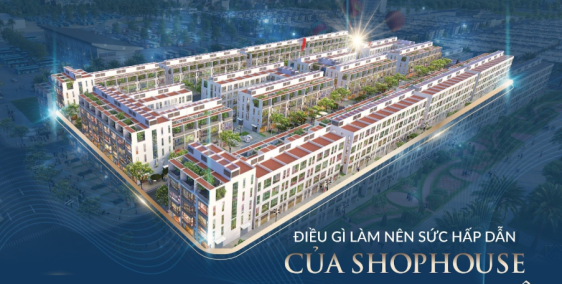 Bán căn liền kề Palmy Biztown – HDB Thanh Trì – 75m² – giá chỉ 150tr/m²