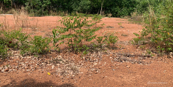 Cần cho thuê một miếng Đất Trống 150m2