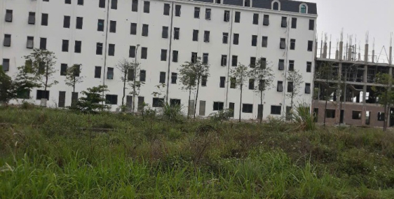 Chính chủ cần tiền bán đất tại dự án 4,6ha tại thị trấn Lim, đã có sổ hồng