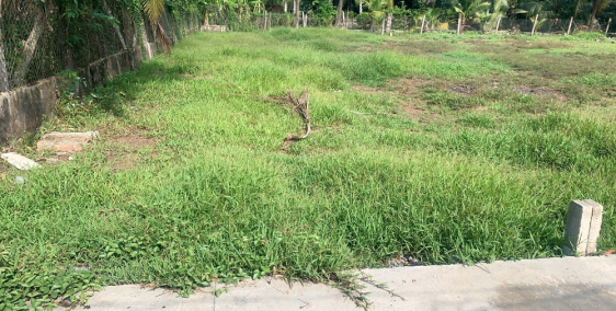 Bán Nền Thổ Cư Cách Quảng Trường 1km Chỉ 600 triệu