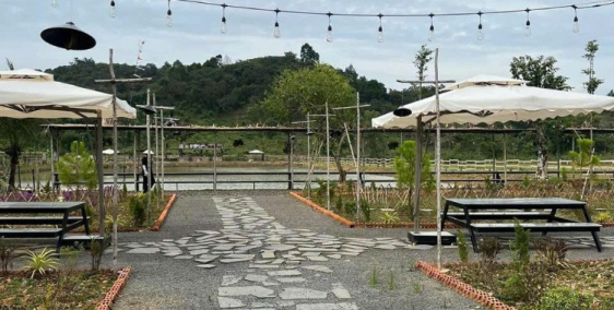 Bán đất Đang Kinh Doanh Buôn Bán ấp Bàu Chim, Xã Phú Xuân, Tân Phú Đồng Nai