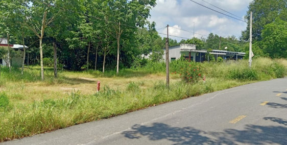 Cần tiền bán gấp đất thổ cư H. Phú Giáo, Bình Dương, 1200m2, thổ cư 100m2