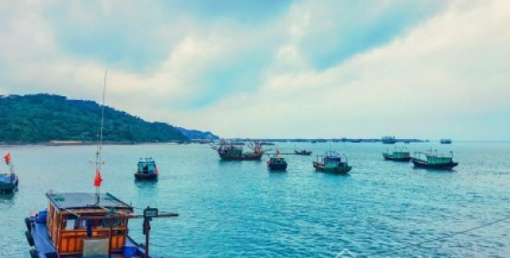 BÁN ĐẤT THỔ CƯ TRUNG TÂM CÔ TÔ – VỊ TRÍ ĐẸP, GIÁ TỐT, SỔ SẴN SANG TÊN